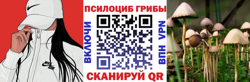 ссылка на мегу ССЫЛКА  Бавлы  Псилоцибиновые грибы Psilocybe 